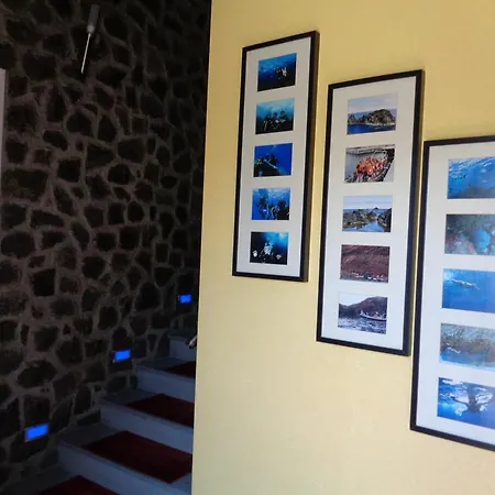 Casa Faias 3* Santa Cruz da Graciosa