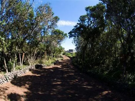 Casa Faias *